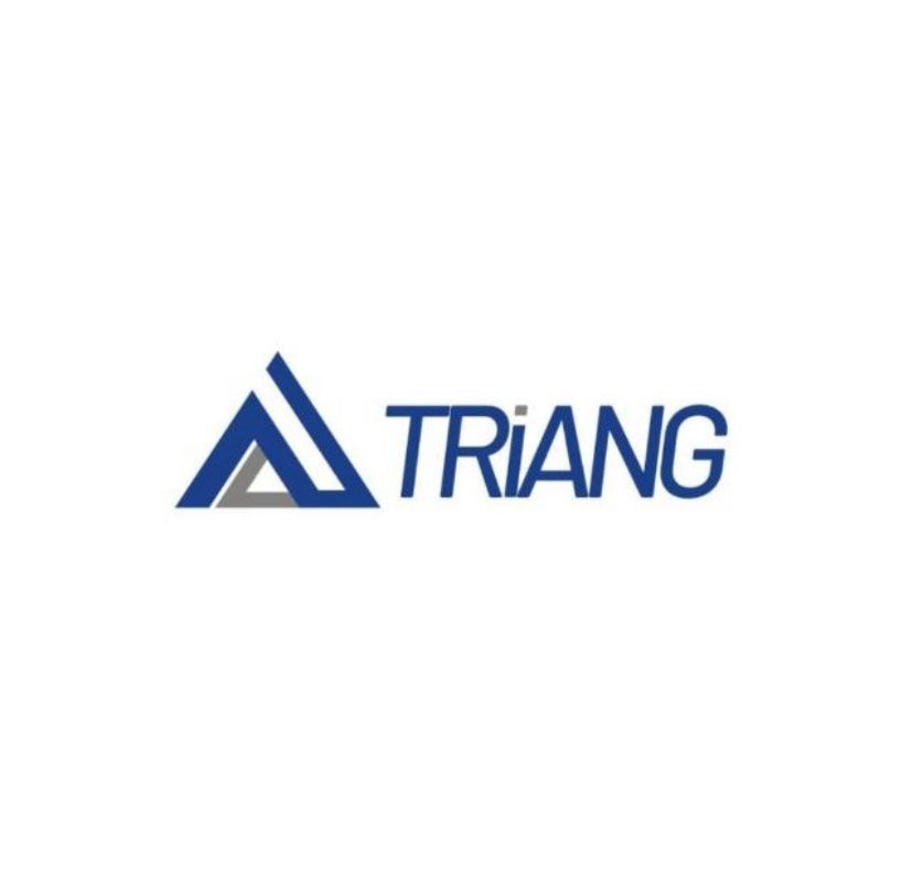 Triang Technologies Logo